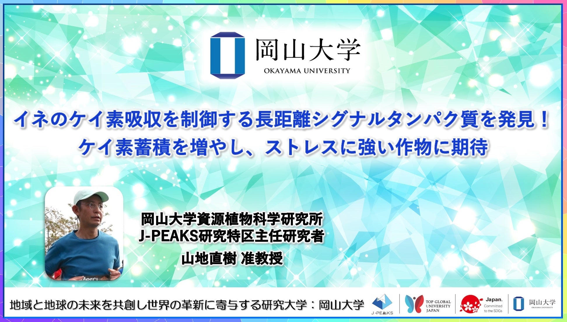 岡山大学、イネのケイ素吸収制御メカニズム解明、ストレス耐性作物開発に期待