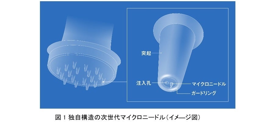 資生堂が次世代マイクロニードル開発、肌のたるみやしわ、バリア機能改善に効果